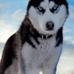 Meet your Posher, Annette